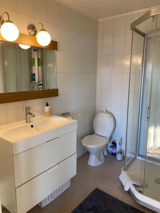 特罗姆瑟Cosy Flat Near Cable Car And The Arctic Cathedral公寓 外观 照片